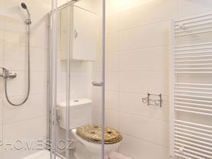 Pronájem bytu 2+1, Praha - Nové Město, Pod Slovany, 62 m2