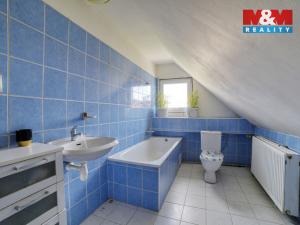 Prodej rodinného domu, Planá - Týnec, 252 m2