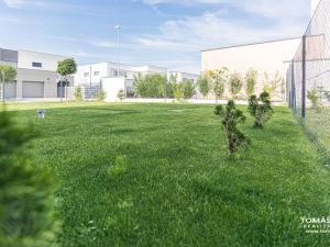 Pronájem bytu 3+kk, Hradec Králové - Věkoše, V. J. Kašpara, 74 m2