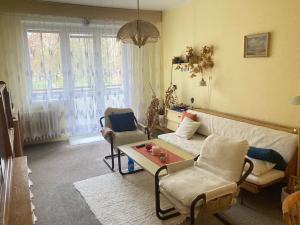 Prodej bytu 2+1, Ostrov, Kollárova, 50 m2