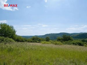 Prodej louky, Štěchovice, 4332 m2