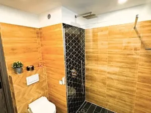 Prodej bytu 2+1, Šumperk, Gagarinova, 56 m2