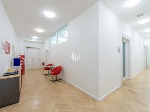 Pronájem kanceláře, Praha - Nové Město, Václavské náměstí, 1200 m2