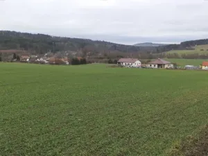 Dražba louky, Srby, 19946 m2