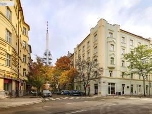 Prodej bytu 1+kk, Praha - Žižkov, Slavíkova, 27 m2