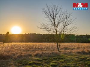 Prodej pozemku pro bydlení, Nová Ves, 758 m2