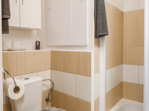 Prodej bytu 2+kk, Děčín, Závodní, 42 m2