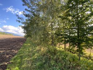 Prodej pozemku, Lánov - Horní Lánov, 718 m2