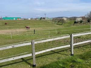 Prodej pozemku pro bydlení, Ptýrov, 1055 m2