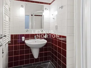 Pronájem atypického bytu, Praha - Nové Město, Dřevná, 250 m2