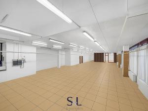 Prodej obchodního prostoru, Nový Bor, Hálkova, 650 m2