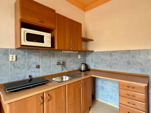 Pronájem bytu 2+1, Praha - Žižkov, Hartigova, 62 m2