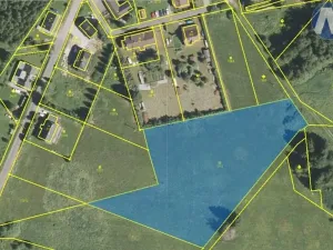 Prodej pozemku, Borová Lada, 7953 m2