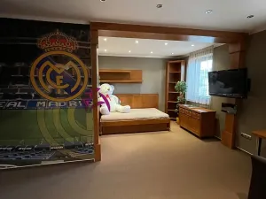 Pronájem rodinného domu, Bystročice, 246 m2