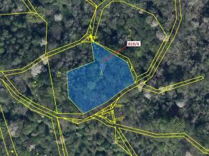 Dražba lesa, Zubrnice, 2875 m2