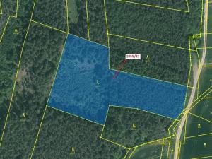 Dražba lesa, Milavče, 9168 m2