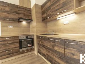 Pronájem bytu 1+kk, Plzeň, K Zelené louce, 31 m2