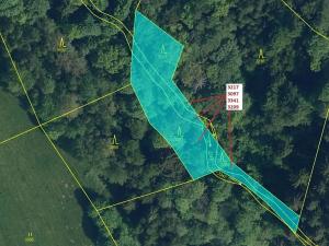 Dražba lesa, Benešov u Semil, 1649 m2