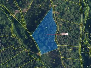 Dražba lesa, Jílové u Držkova, 5751 m2