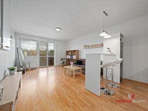 Pronájem bytu 1+kk, Hradec Králové - Třebeš, Ve Stromovce, 41 m2