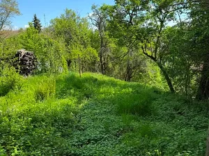 Prodej chalupy, Bouzov, 58 m2