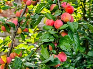 Prodej rodinného domu, Hředle, 398 m2