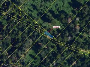 Dražba lesa, Veverské Knínice, 77 m2