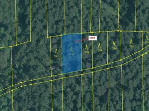 Dražba lesa, Borovany, 605 m2