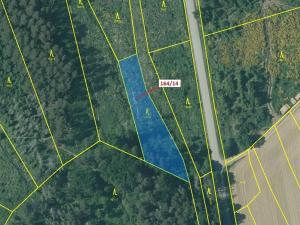 Dražba lesa, Budíškovice, 1580 m2