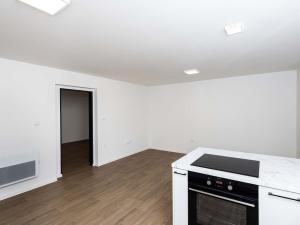 Pronájem bytu 2+kk, Opava - Předměstí, U Hliníku, 46 m2