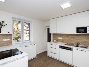 Pronájem bytu 2+kk, Opava - Předměstí, U Hliníku, 46 m2