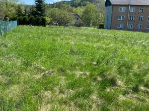 Prodej pozemku pro bydlení, Hamr na Jezeře, 3156 m2