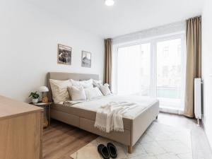 Pronájem bytu 2+kk, Brno - Brno-město, Spolková, 53 m2