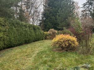 Pronájem zahrady, Postupice, 729 m2