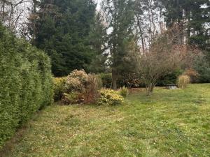 Pronájem zahrady, Postupice, 729 m2