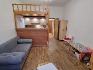 Pronájem bytu 1+kk, Praha - Žižkov, Jagellonská, 35 m2