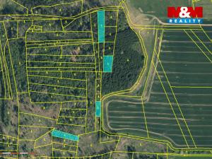 Prodej lesa, Načeradec - Pravětice, 19561 m2