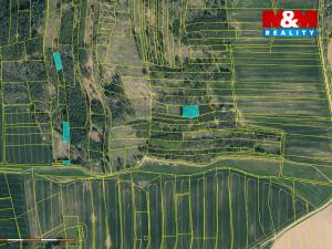 Prodej lesa, Načeradec - Pravětice, 19561 m2