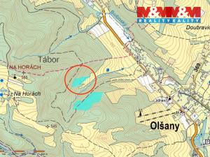 Prodej lesa, Olšany, 8828 m2