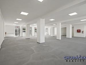 Prodej obchodního prostoru, Čelákovice, Sokolovská, 463 m2