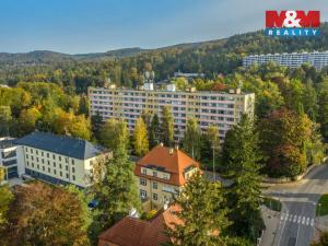 Pronájem bytu 4+1, Liberec - Liberec I-Staré Město, Březová alej, 80 m2