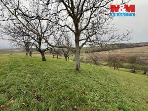 Prodej zahrady, Bezuchov, 901 m2