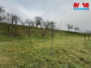 Prodej zahrady, Bezuchov, 901 m2