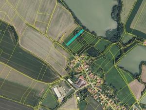 Prodej pole, Horky, 59562 m2