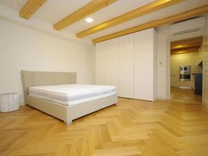 Pronájem atypického bytu, Praha - Nové Město, Bolzanova, 199 m2