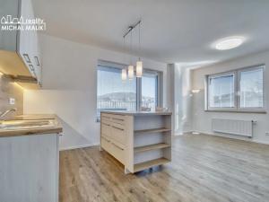 Prodej bytu 1+kk, Hranice, Pod Nemocnicí, 39 m2