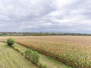 Prodej bytu 1+kk, Kolín, A. M. Jelínka, 41 m2