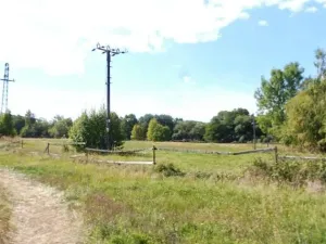 Dražba pole, Rožmitál pod Třemšínem, 10000 m2