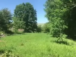 Dražba pozemku pro bydlení, Bělá nad Radbuzou, 704 m2