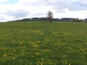 Prodej pozemku, Staré Město - Nová Véska, 10063 m2